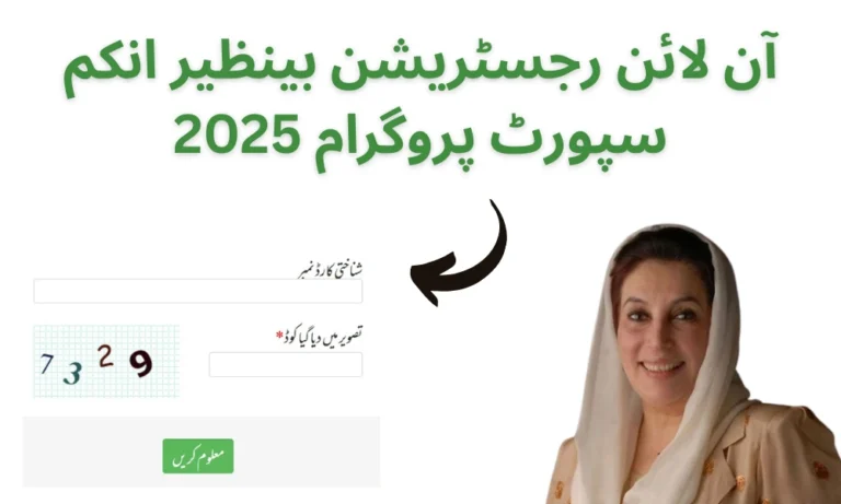 Online Registration Benazir Income Support Programme 2025