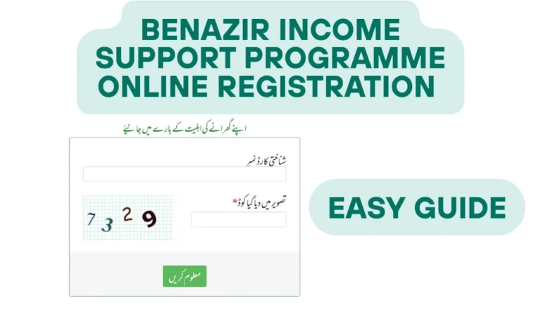 benazir income support programme online registration