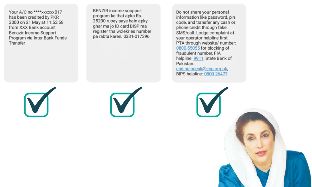 benazir income support program online check
